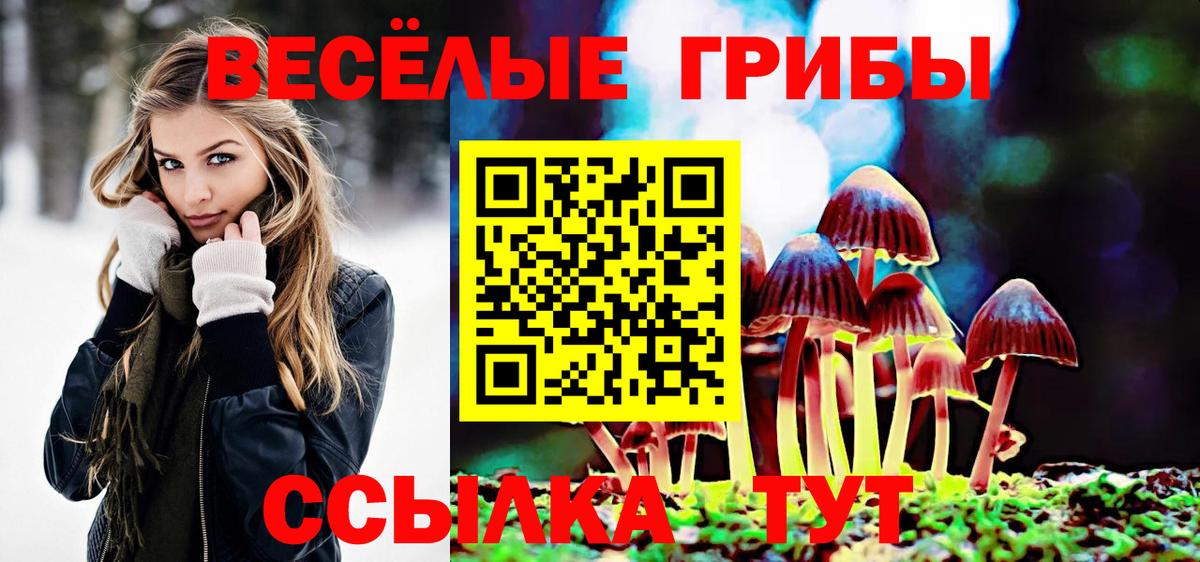 Светлоград  Псилоцибиновые грибы мицелий  Вход с VPN 